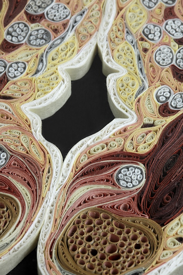 Quilled Paper Anatomy Lisa Nilsson 9