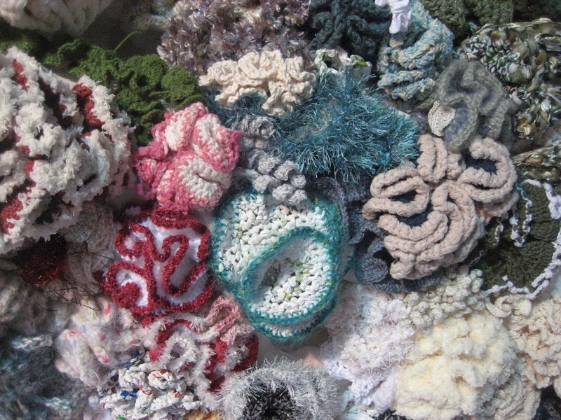 Связать водоросли. Фриформ коралловые рифы. Вязаный коралловый риф. Вязаные кораллы. Вязаные водоросли.