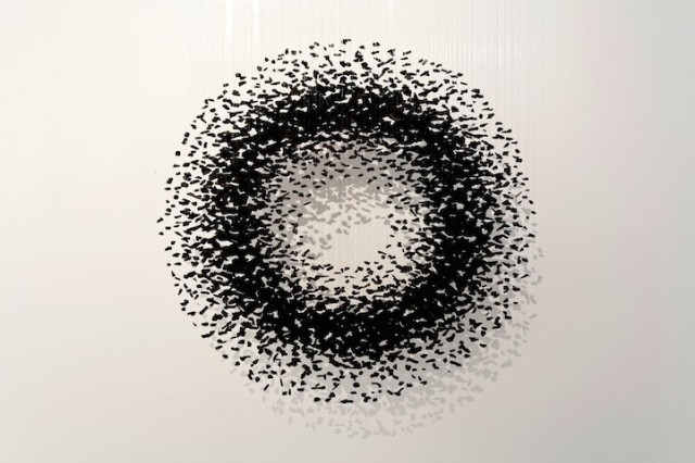 Seon Ghi Bahk Suspended Columns Mode of Charcoal 5